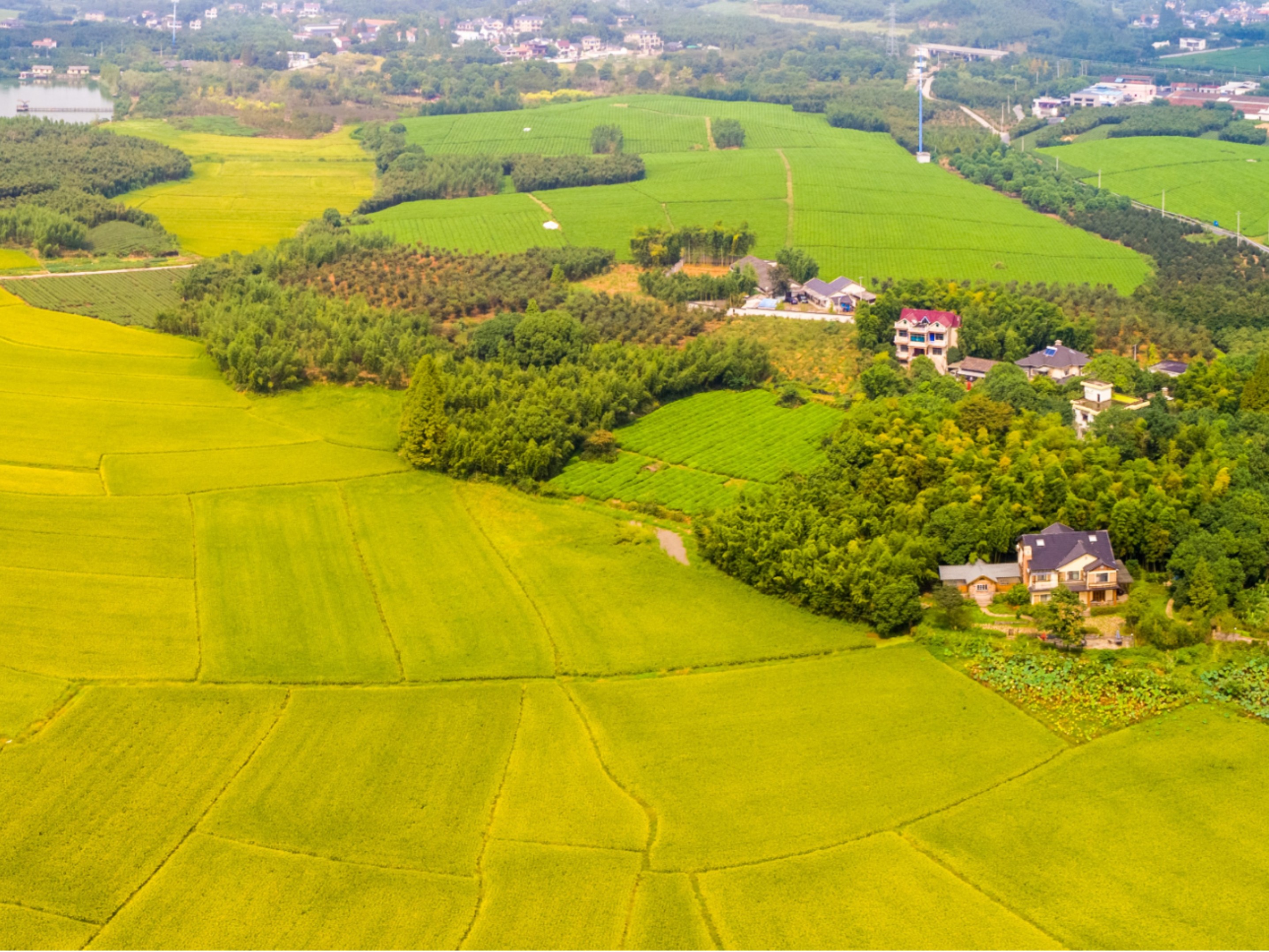 美丽农村